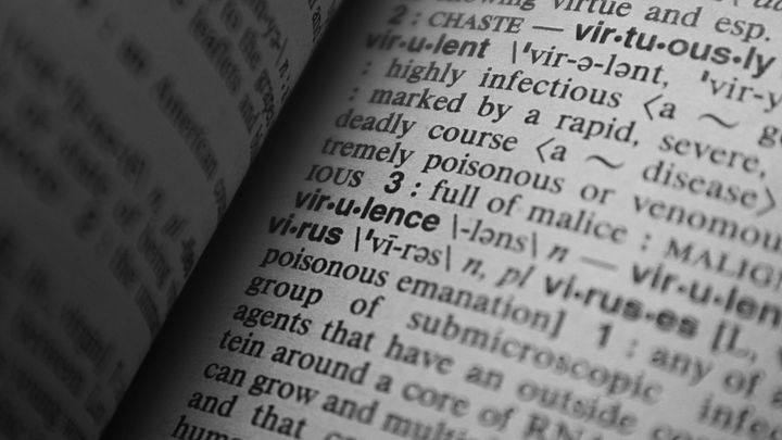 A close-up view of words and definitions in a printed dictionary.
