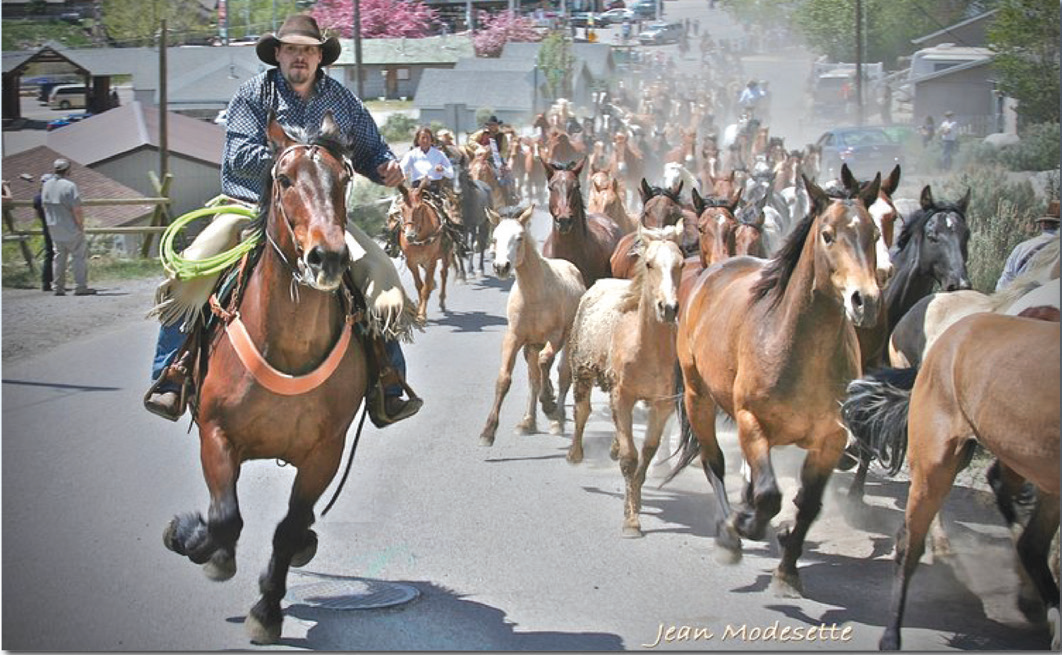 Gardiner Horse Drive for Veterans