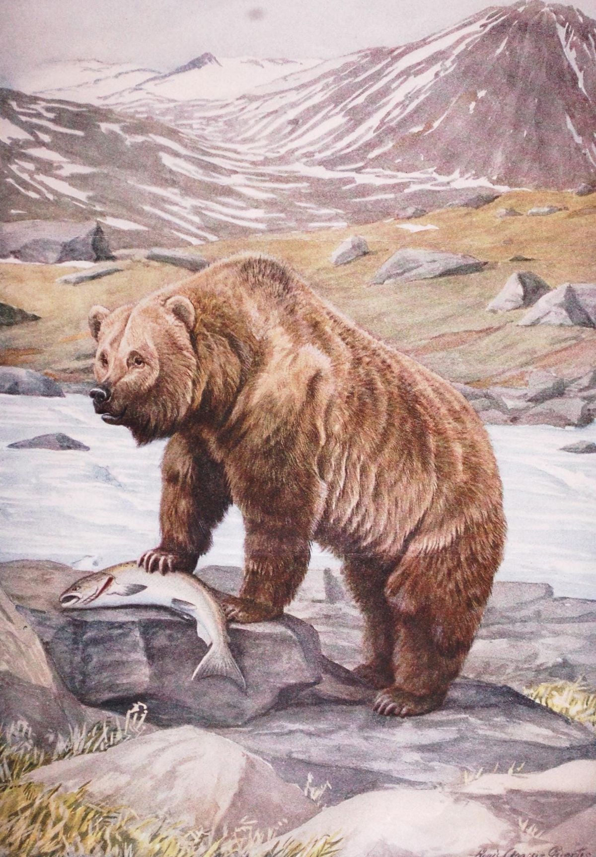 The Livingston Depot Center Celebrates the American Grizzly Bear With Series of Public Events and Featured Exhibit
