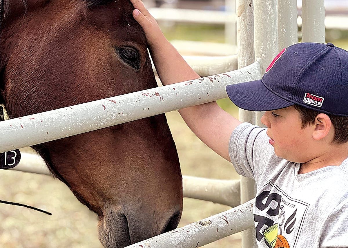 Successful Adoptions and Community Engagement at Upper Yellowstone WHB Event