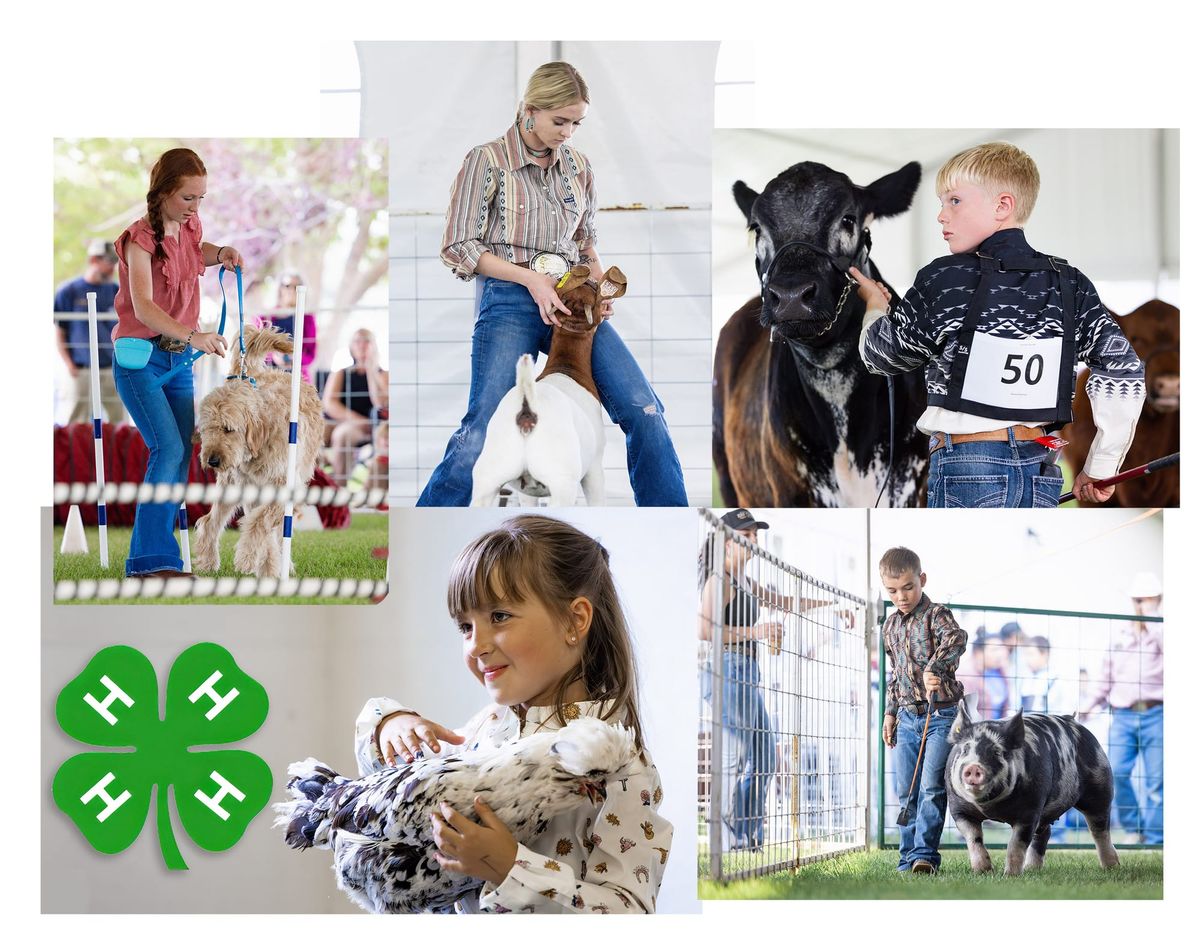 The Park County AG Fair