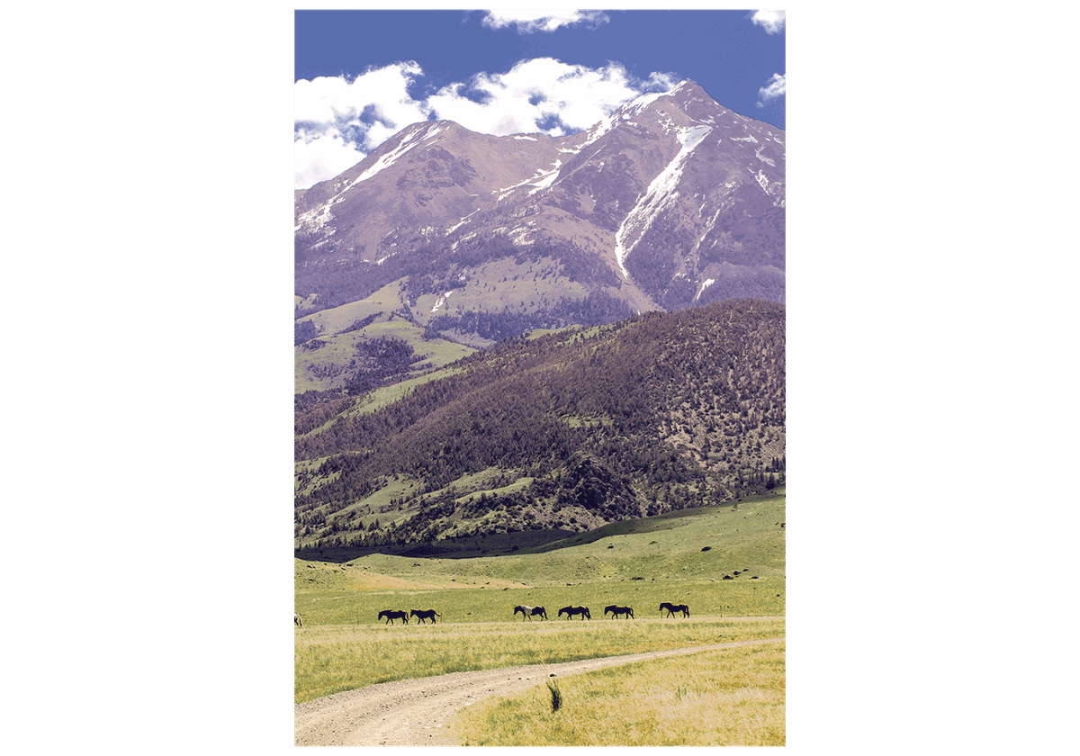 Park County Land Trust Establishes Conservation Assistance Fund to Help Landowners Protect Open Spaces