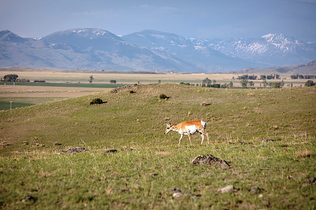 GVLT Reaches Milestone of 75,000 Acres Conserved in Southwest Montana
