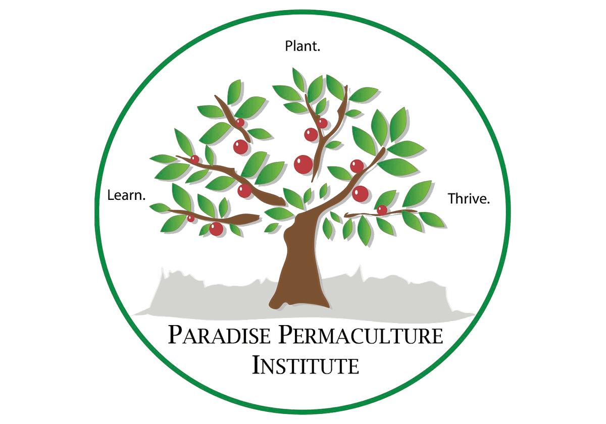 Dry Winter, Dry Soil, Stressed Plants