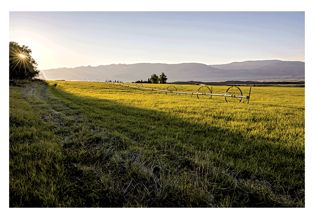 437-Acre Ranch in Paradise Valley’s Mill Creek Drainage Permanently Conserved