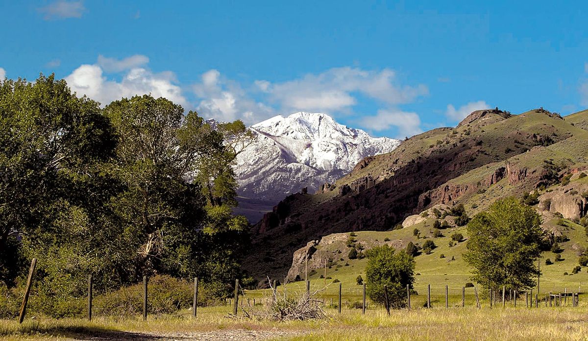 Park County Land Trust Thanks Photographer and Conservation Advocate Peter Murray for Generous Donation of Photography