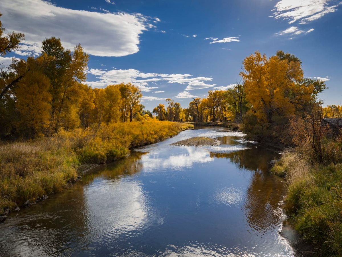 Shields Watershed Partners Secure Over $680,000 in Water Quality Grants