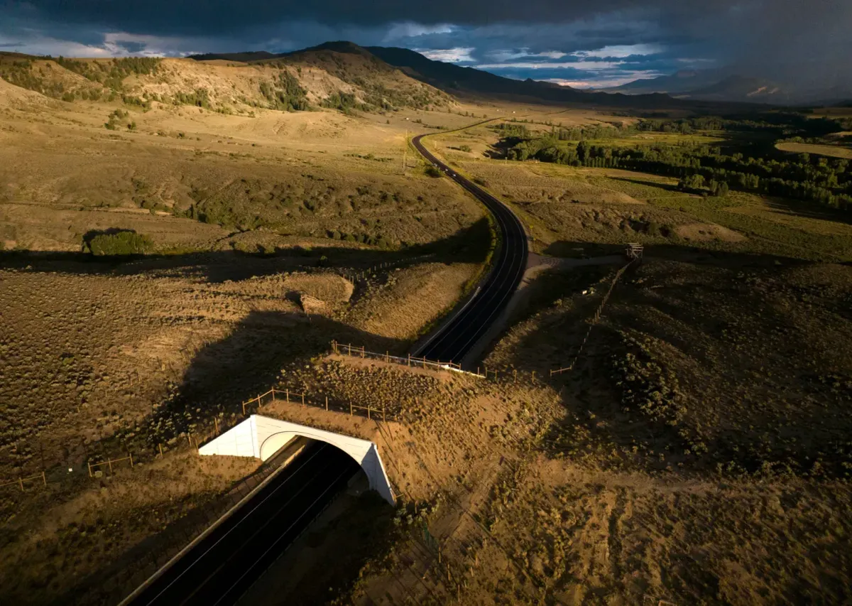 US 89 Wildlife Crossing Feasibility Study Underway in Park County