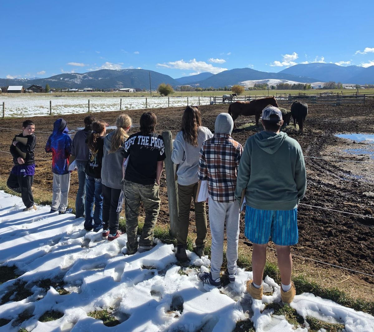 More Than a Love of Horses: Discovering Careers, Confidence, and Connection