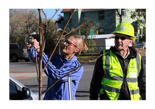 Livingston Loves Trees Launches Community Tree Pruning Initiative