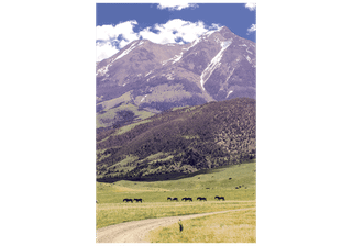 Park County Land Trust Establishes Conservation Assistance Fund to Help Landowners Protect Open Spaces