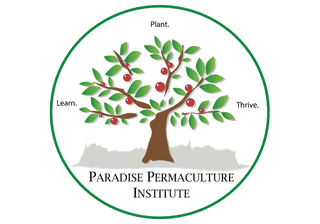 Dry Winter, Dry Soil, Stressed Plants