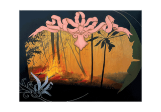 The Danforth Museum of Art (DMA) Present Passages, an Exhibition by Carla Pagliaro
