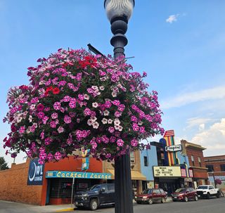 Support the Downtown Livingston Flower Basket Project!