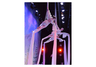 Yellowstone Ballet Academy starts Aerial and Ballet Classes for Children, Teens and Adults
