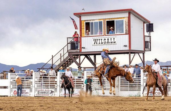 It's Rodeo Time!