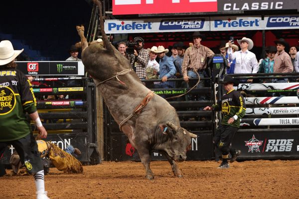 The Bull, The Myth, The Legend Comes to Livingston