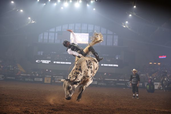 An Unforgettable Night of Bulls, Riders, and Montana Big Sky Excitement with the Livingston Classic PBR