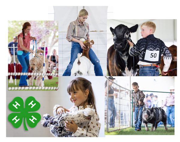 The Park County AG Fair