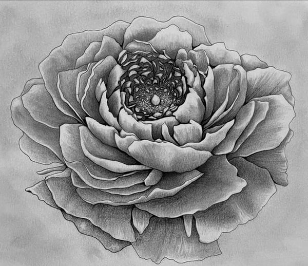 "Monochrome: A Black and White World" Exhibit at the Frame Garden