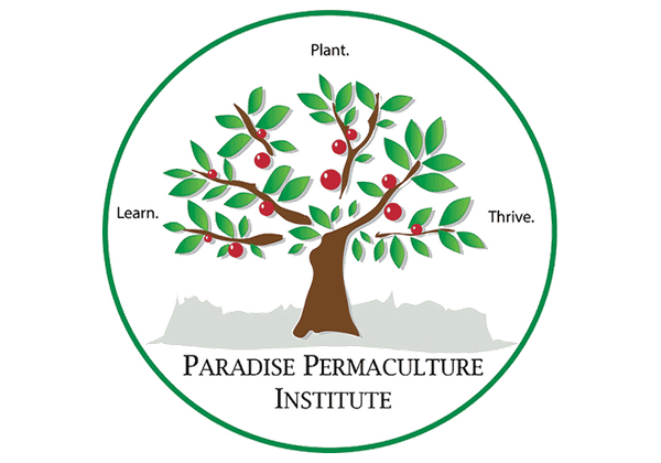 Explore Sustainability in Action: Join Us for a Free Edible Walking Tour at Paradise Permaculture Institute!