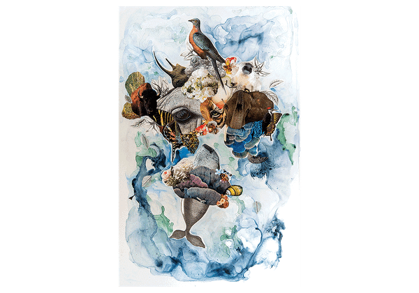 Bozeman Symphony Presents World Premiere