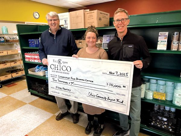 SNAP Benefit Relief Efforts