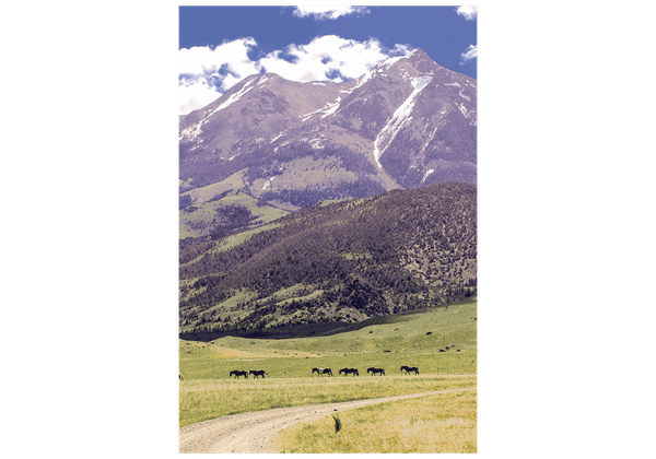 Park County Land Trust Establishes Conservation Assistance Fund to Help Landowners Protect Open Spaces