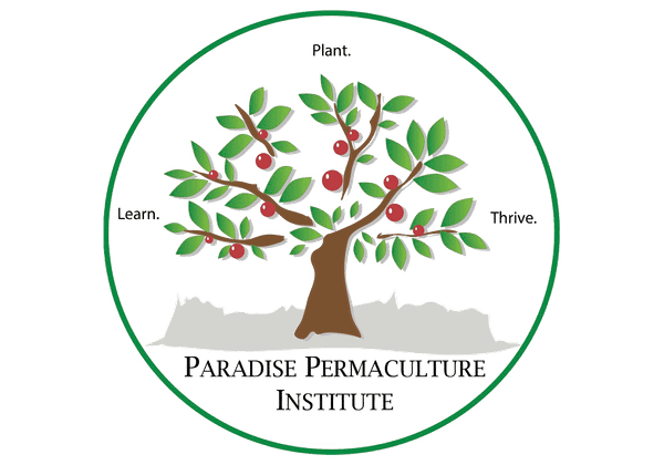 Dry Winter, Dry Soil, Stressed Plants