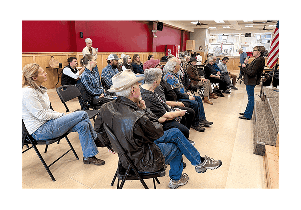 Community Foundation and Senior Center Partner to Create Giving Circle: Four Local Nonprofits Receive Grants from Senior Giving Circle