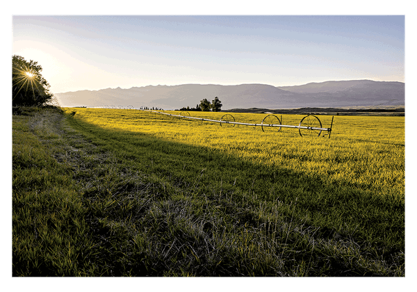 437-Acre Ranch in Paradise Valley’s Mill Creek Drainage Permanently Conserved
