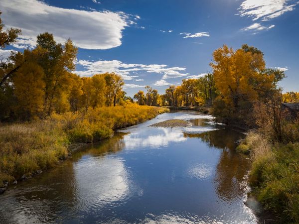 Shields Watershed Partners Secure Over $680,000 in Water Quality Grants