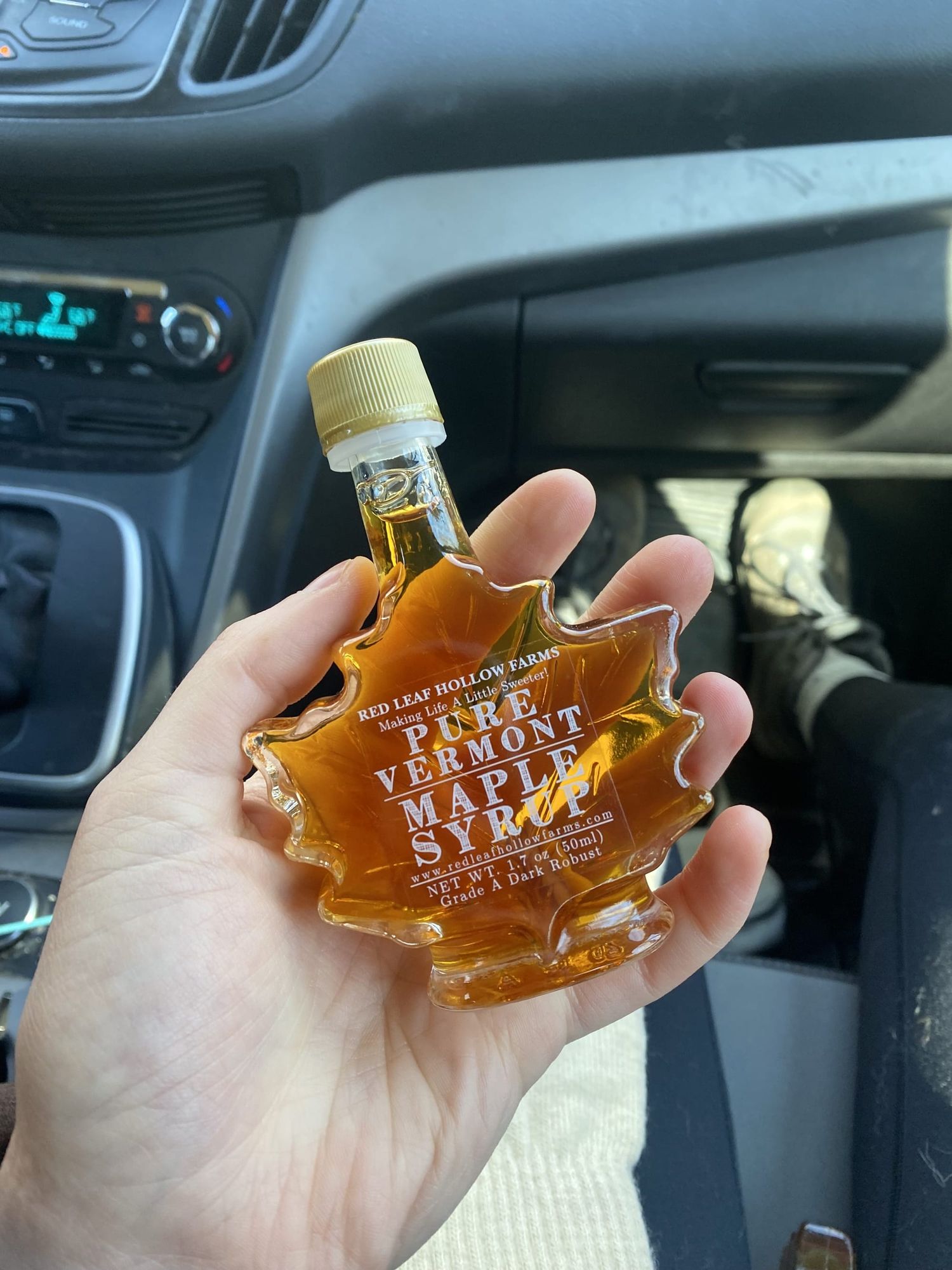 The Sweet Science Behind Maple Syrup