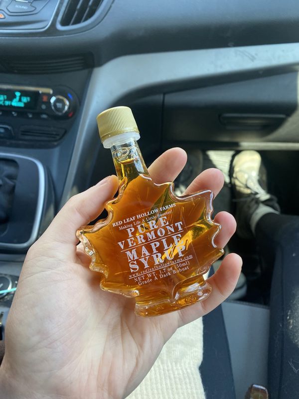 The Sweet Science Behind Maple Syrup