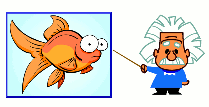 Einstein-goldfish.gif
