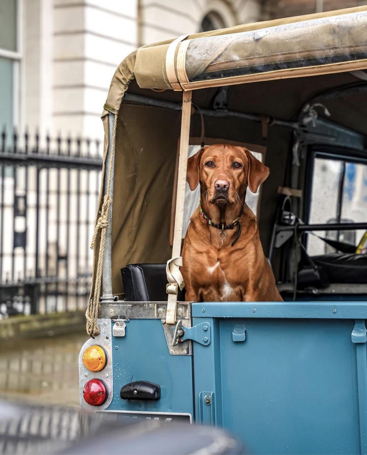 PRESS SPOTLIGHT: UK OWNERS SHARE THEIR STORIES