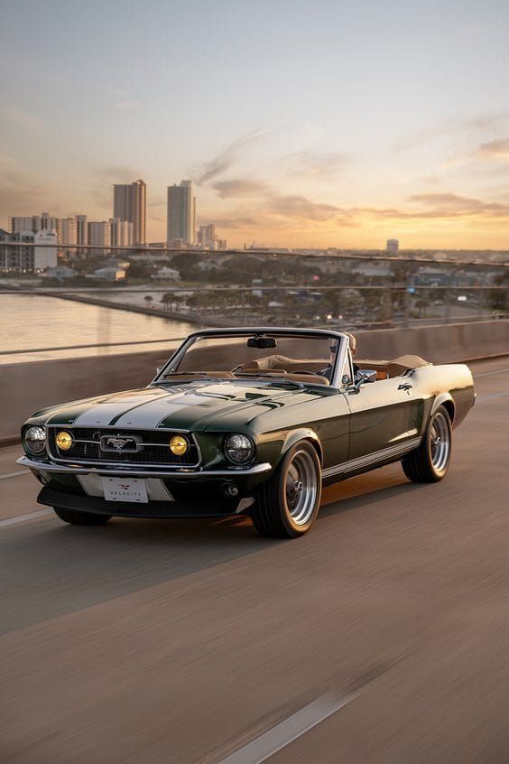 RENT A MUSTANG: The Definitive Guide to Hiring a Ford Mustang in the USA
