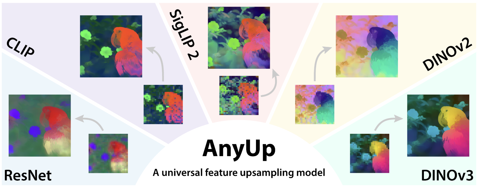 anyup-1.png