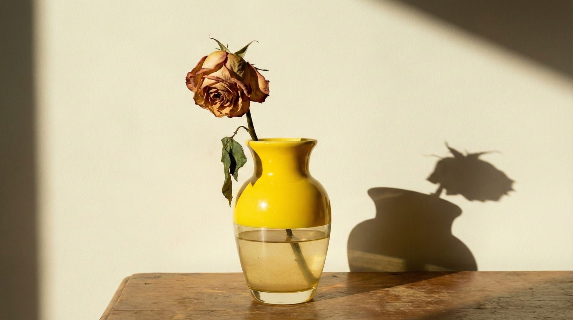 A flower in a bowl in the light of the day