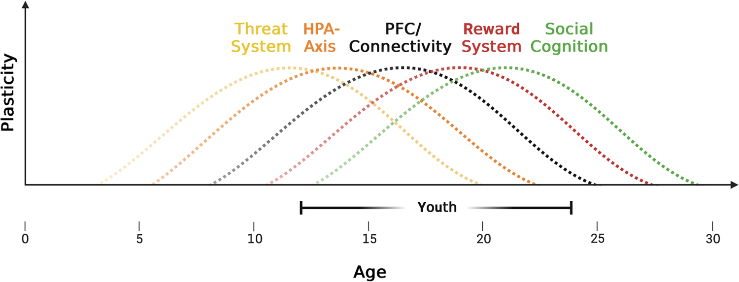 Figure with plasticity on the y axis, age on the x axis, and brain circuits depicted in curves showing their peak plastic age
