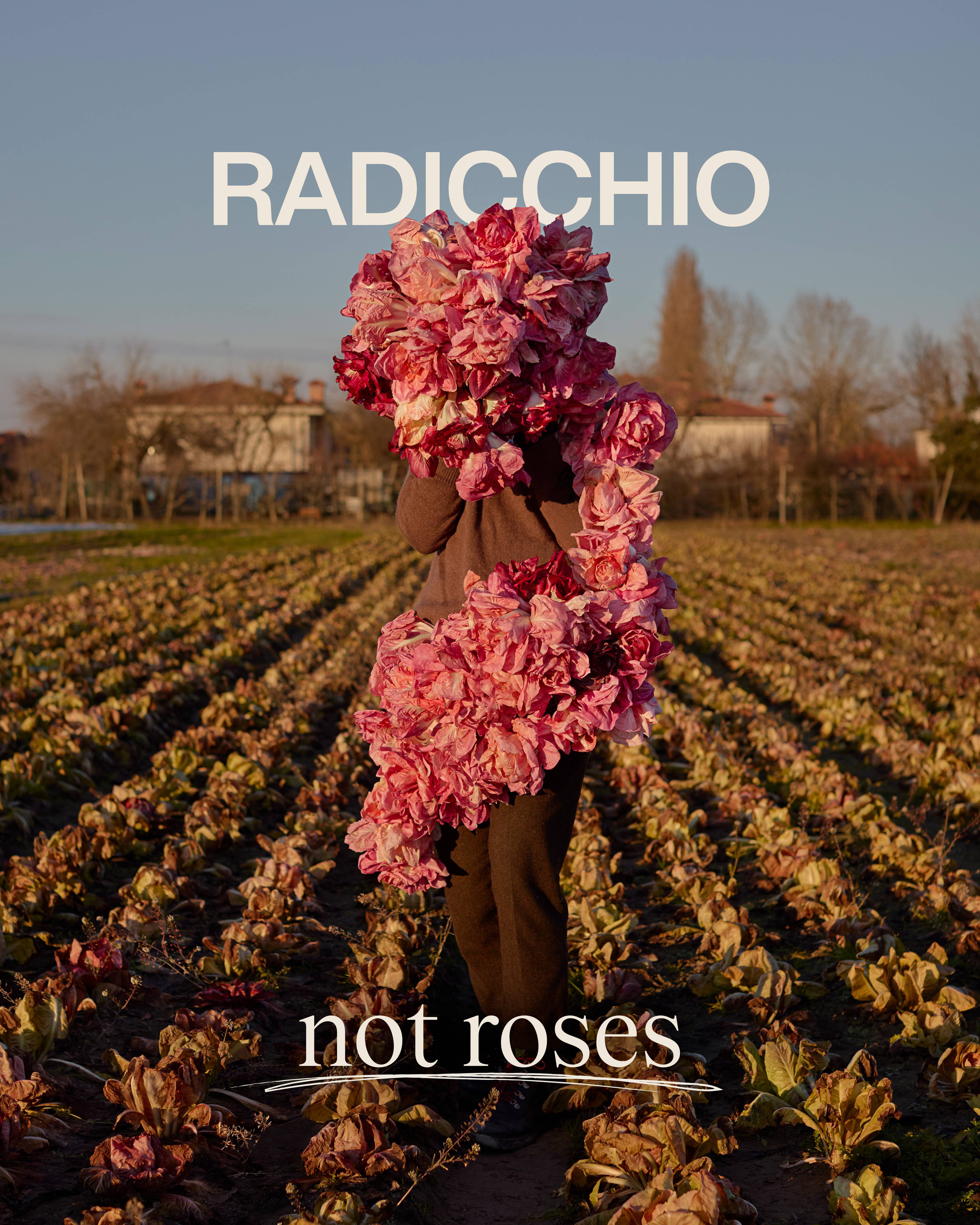 Woman stands in a field of green radiccio entwined with red and pink radiccio