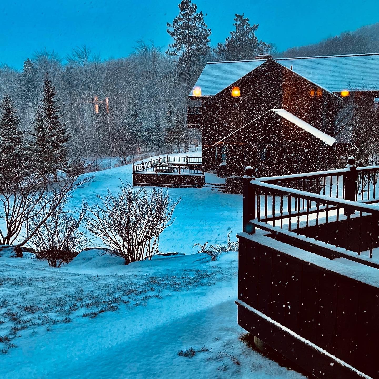 Snowy cabins with a dark blue dusky sky