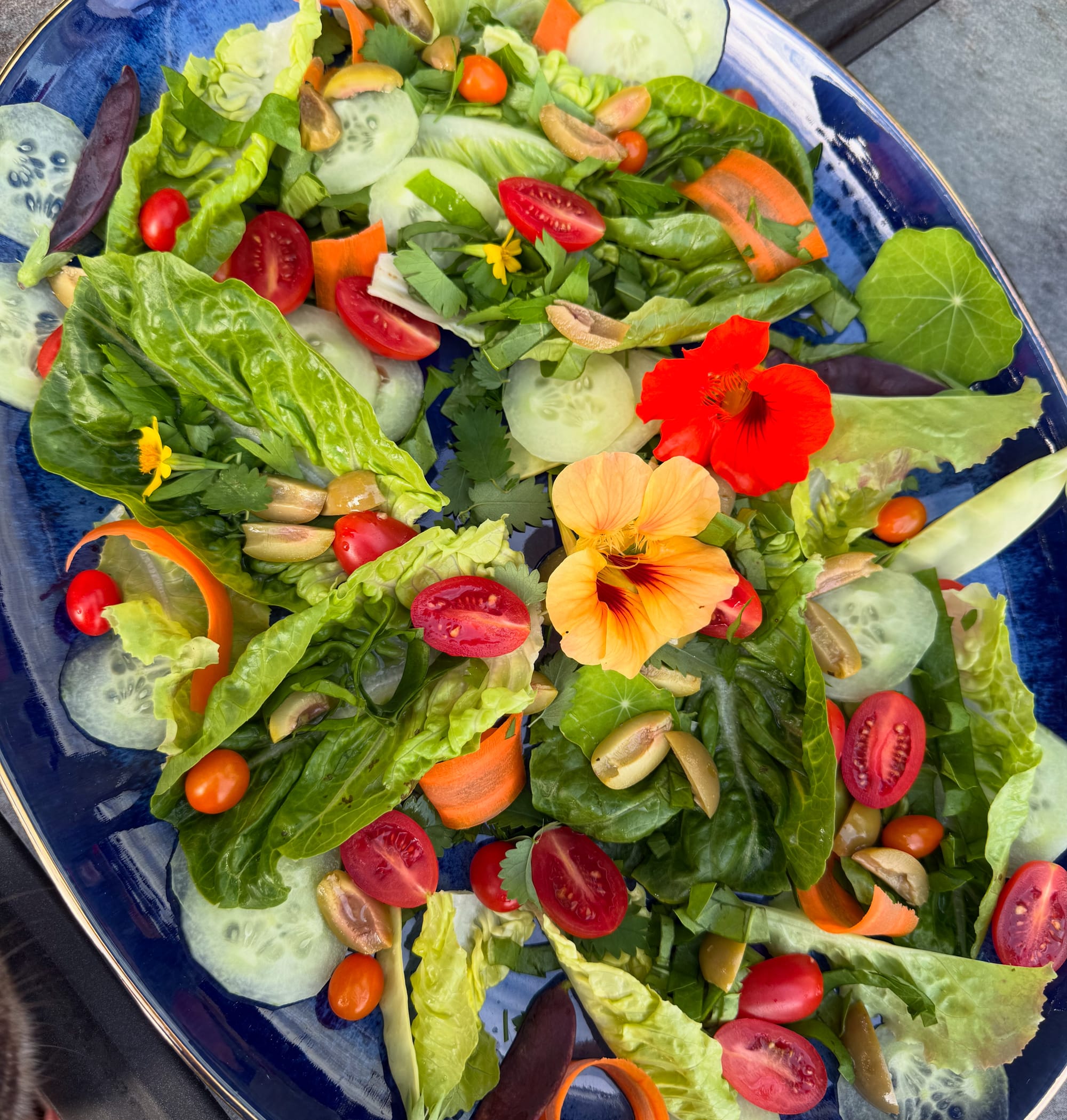 Beautiful salad with olives, nasturtiums, shaved carrots, cherry tomatoes.