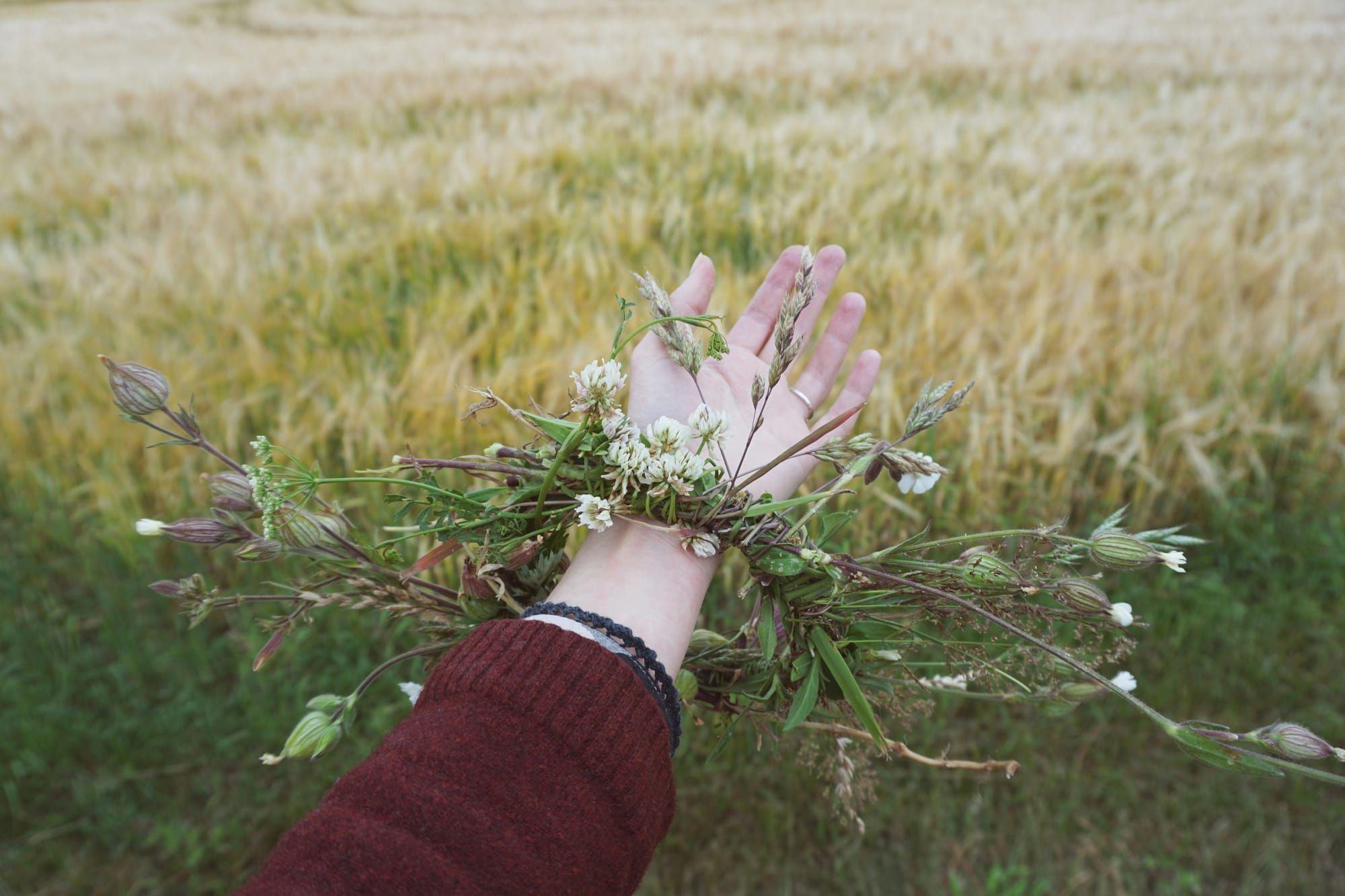 Hand outstretched with a flower crown on the wrist - background is a field adn she is wearing a red sweater