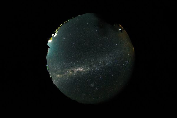 Thinking (and Feeling) Through Time