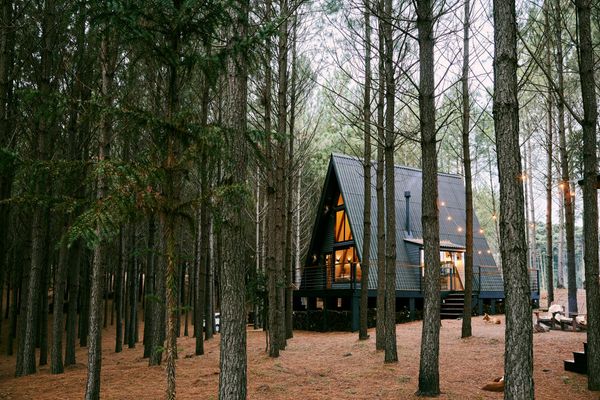 a small cabin in the middle of the forest