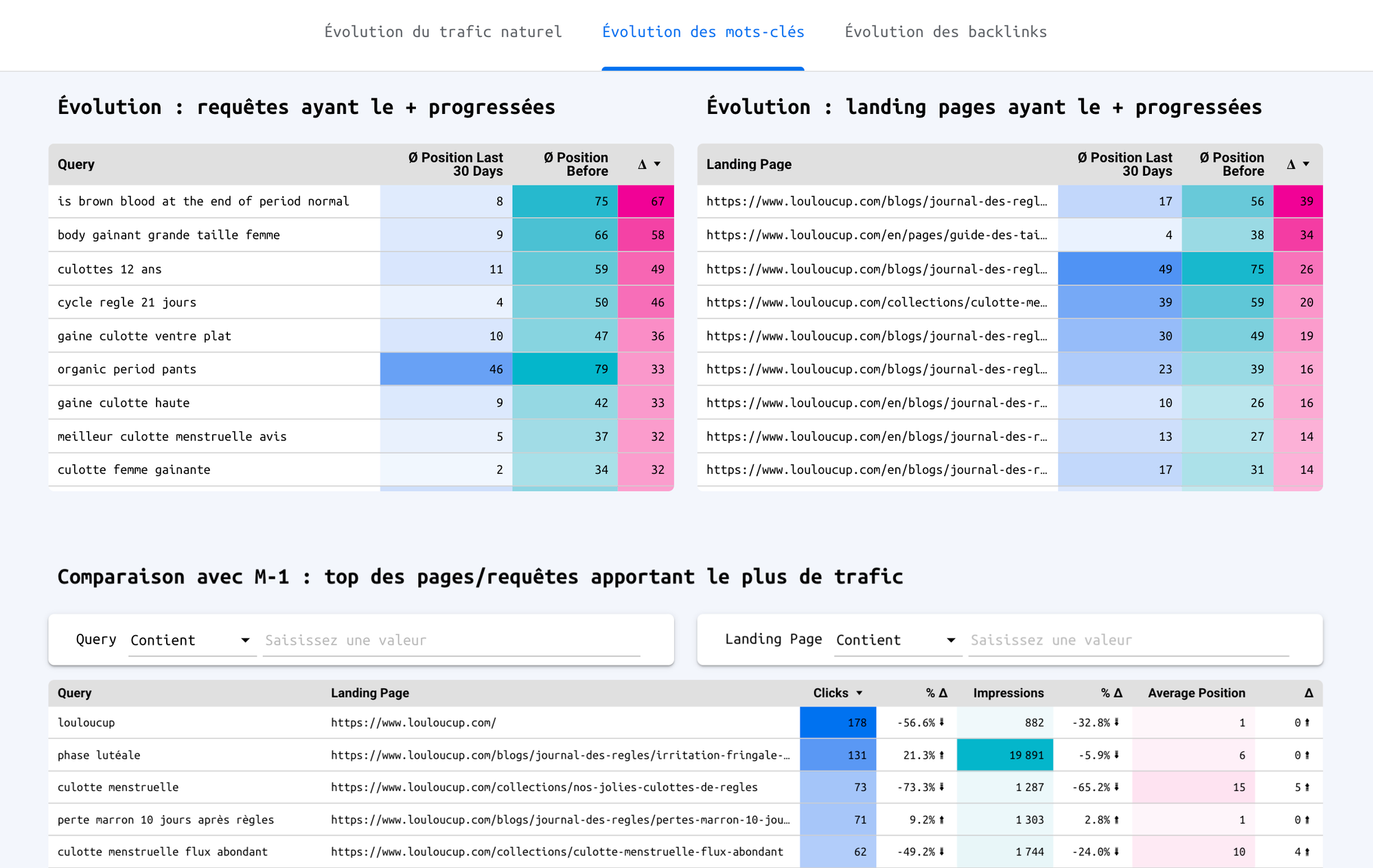 Rapport SEO