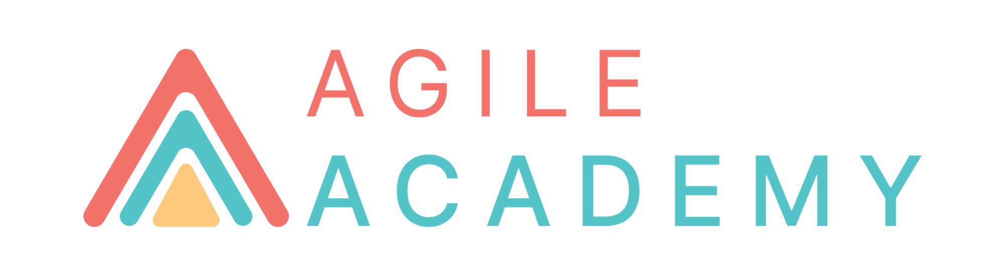 Agile Academy