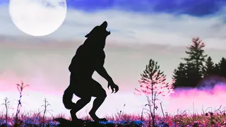 Using Folklore to explore the werewolf as a trans symbol