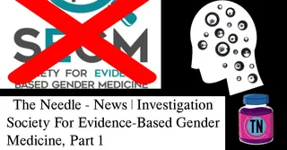 US-based hate group behind rise of anti-trans science and standards worldwide